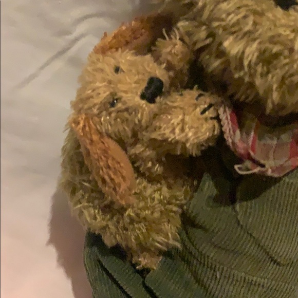 Bearingtonbear - Picture 2 of 5